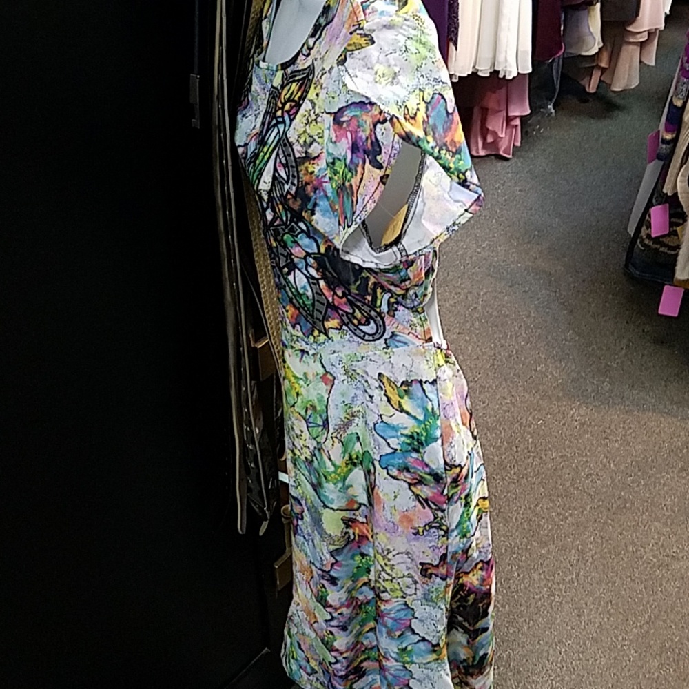 Lulumari ColorSpash Dress - Picture 7 of 8